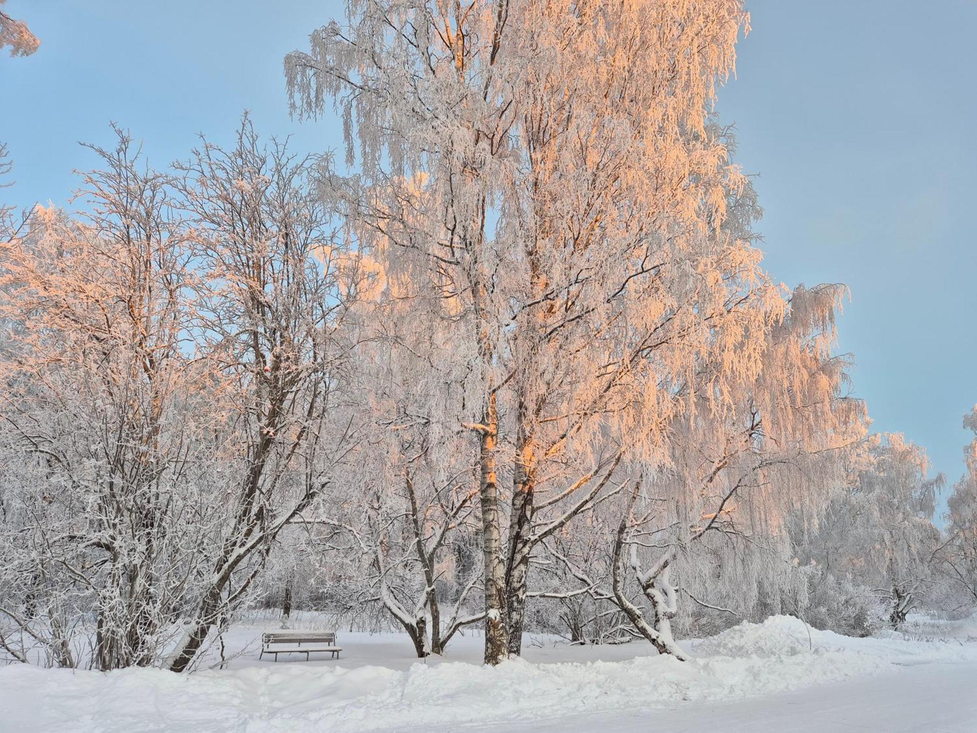 Tilava Uudistettu Perheasunto Rovaniemi Exterior foto